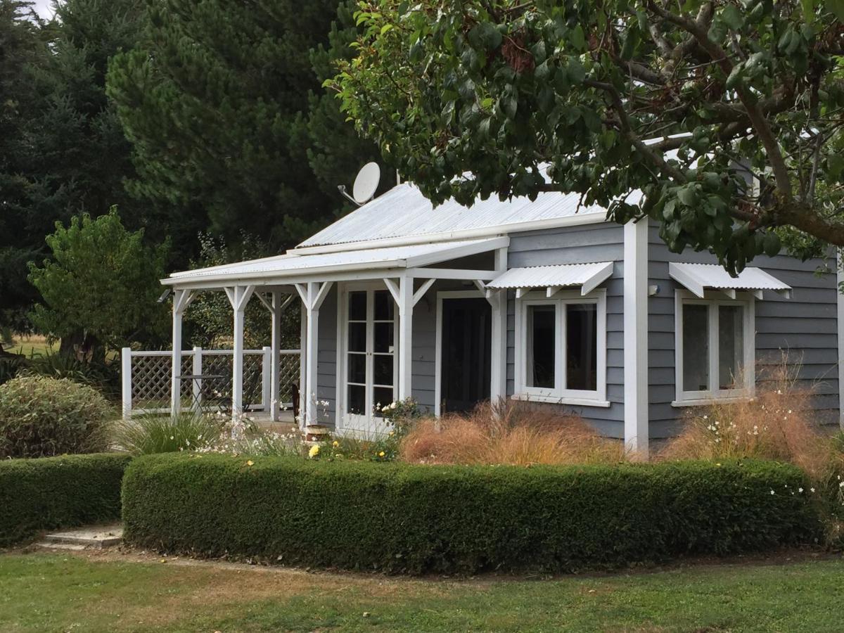 Birch Hill Cottage -30 Minutes From St Arnaud Wairau Valley Esterno foto