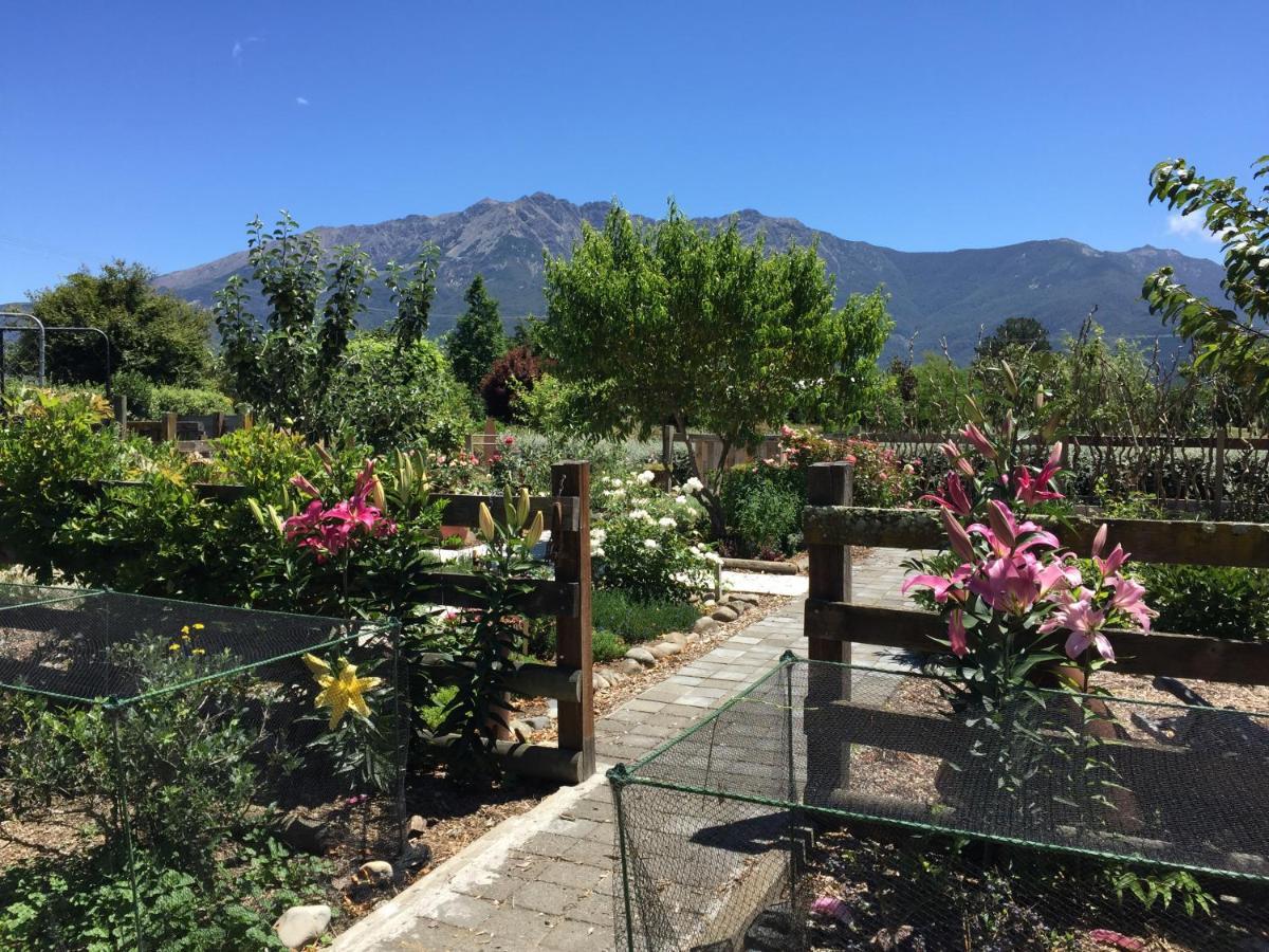 Birch Hill Cottage -30 Minutes From St Arnaud Wairau Valley Esterno foto